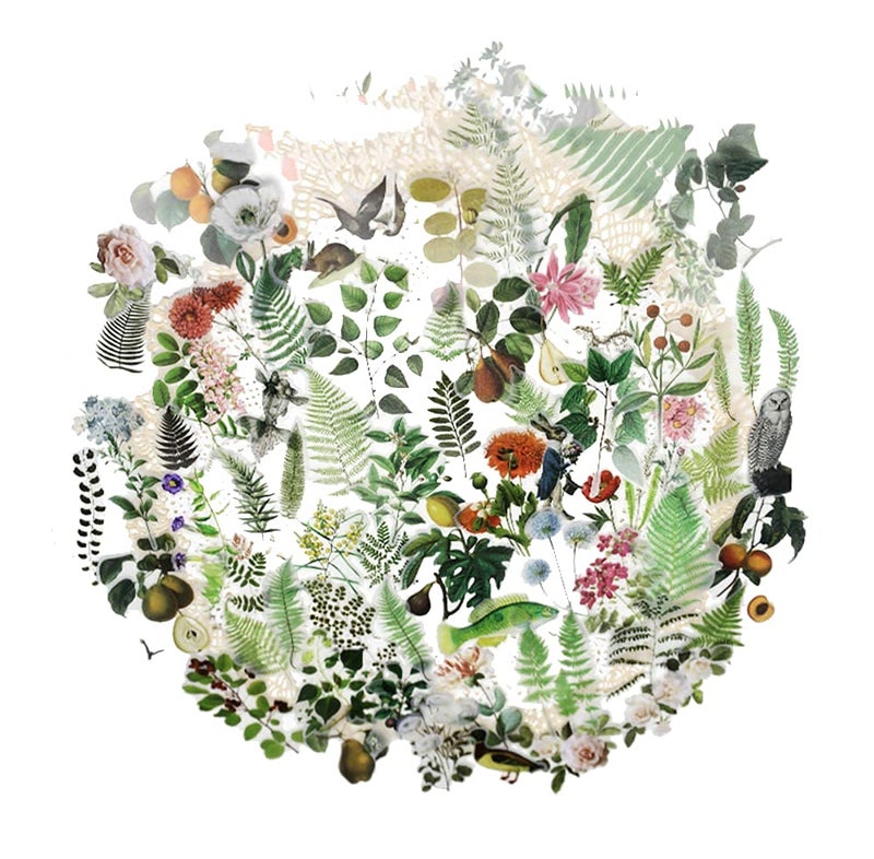 Doraking 65PCS Plants Scrapbook Stickers, DIY Decoration Transparent Sulfuric Paper Green Plants for Scrapbook, No-Repeat - Image 3